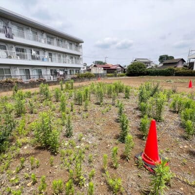 JR武蔵野線「新秋津」駅 徒歩約10分 