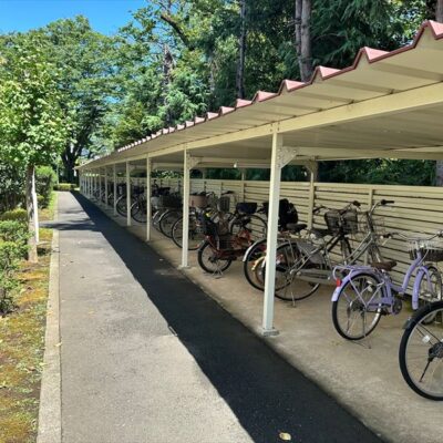 共有施設　自転車置き場です。