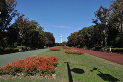 航空記念公園_2